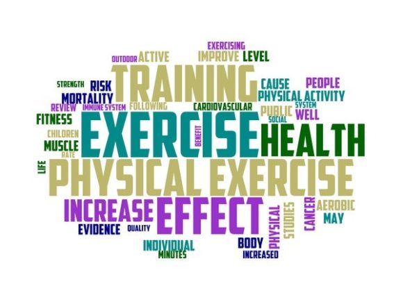 Exercise Typography Book Cover
