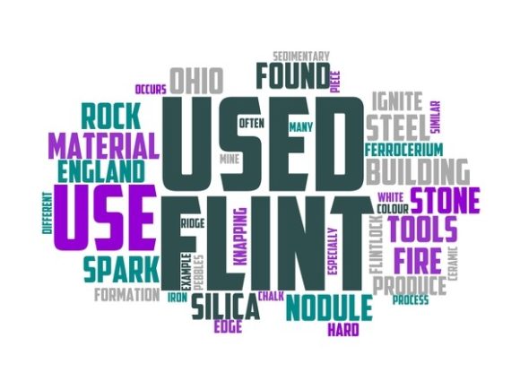 Flint Typography Tshirt