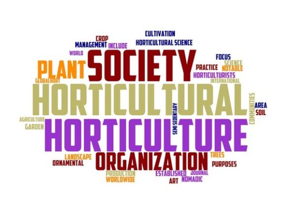 Horticulturalist Typography Tie Dye: A Strategic Tool for Creative Expression and Branding