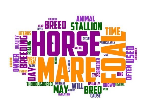The Horse Breeder Typography Tumbler: A Creative Tool for Design Enthusiasts