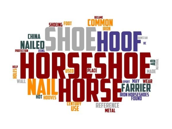 Transform Your Creative Projects with Horseshoe Typography Book Cover